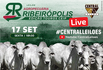 LIVE - LEILÃO AGROPECUÁRIA RIBEIRÓPOLIS - EDIÇÃO TOUROS CEIP