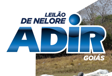 LEILÃO DE NELORE ADIR - GOIÁS