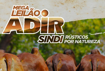 MEGA LEILÃO ADIR SINDI