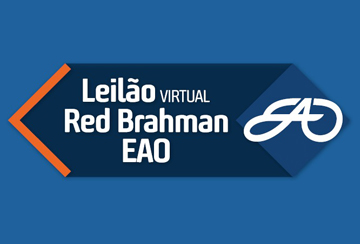 LEILÃO VIRTUAL RED BRAHMAN EAO