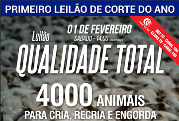 LEILÃO VIRTUAL QUALIDADE TOTAL