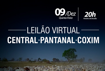 LEILÃO VIRTUAL CENTRAL - PANTANAL - COXIM