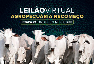 LEILÃO VIRTUAL AGROPECUÁRIA RECOMEÇO - ETAPA 21