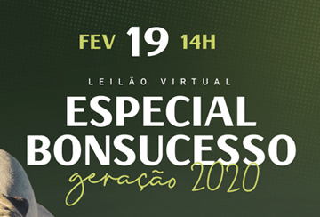 LEILÃO VIRTUAL ESPECIAL BONSUCESSO GERAÇÃO 2020