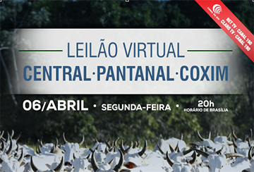 LEILÃO VIRTUAL CENTRAL - PANTANAL - COXIM