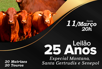 LEILÃO 25 ANOS - ESPECIAL MONTANA, SANTA GERTRUDIS E SENEPOL