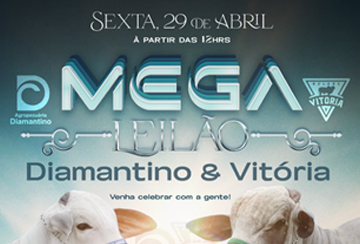 MEGA LEILÃO DIAMANTINO & VITÓRIA