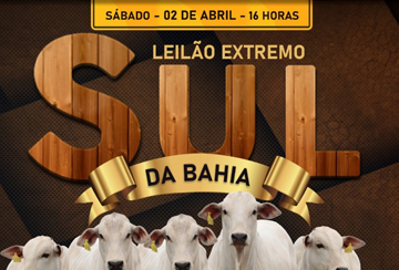 LEILÃO EXTREMO SUL DA BAHIA