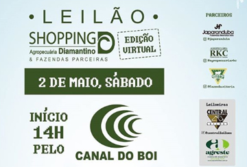 LEILÃO VIRTUAL  AGROPECUÁRIA DIAMANTINO & FAZENDAS PARCEIRAS