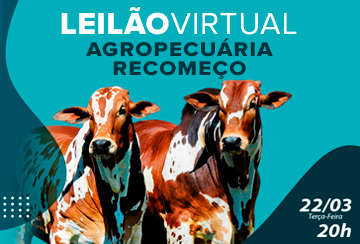 LEILÃO VIRTUAL AGROPECUÁRIA RECOMEÇO