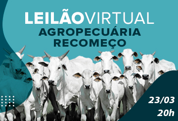 LEILÃO VIRTUAL AGROPECUÁRIA RECOMEÇO