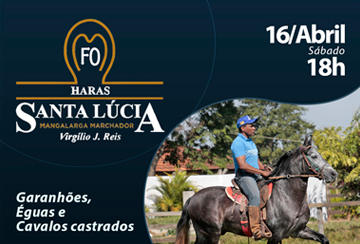 LEILÃO VIRTUAL HARAS SANTA LÚCIA