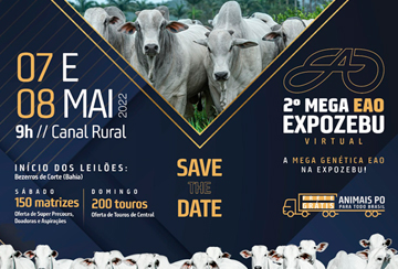 2º MEGA LEILÃO VIRTUAL EAO EXPOZEBU - TOUROS