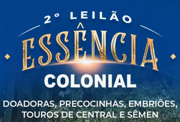 2º LEILÃO ESSÊNCIA COLONIAL