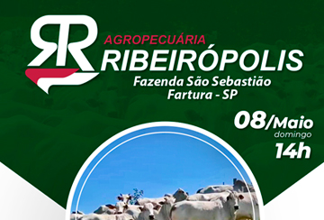 LEILÃO VIRTUAL AGROPECUÁRIA RIBEIRÓPOLIS - FAZENDA SÃO SEBASTIÃO