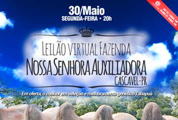 LEILÃO VIRTUAL FAZENDA NOSSA SENHORA AUXILIADORA