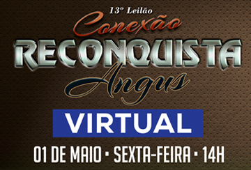 13º LEILÃO VIRTUAL CONEXÃO RECONQUISTA ANGUS