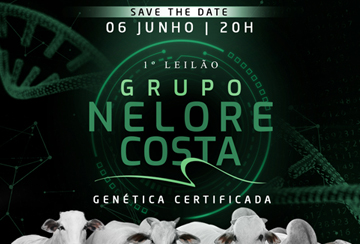 1º LEILÃO NELORE GRUPO COSTA