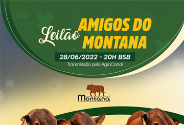 LEILÃO AMIGOS DO MONTANA