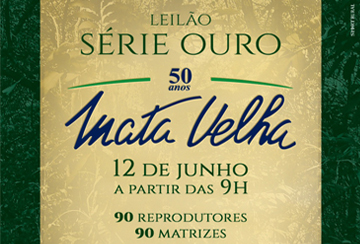 LEILÃO SÉRIE OURO MATA VELHA