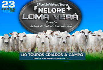 2º LEILÃO VIRTUAL TOUROS NELORE LOMA VERÁ