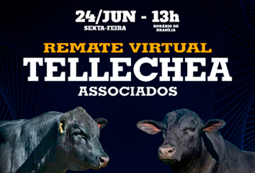 REMATE VIRTUAL TELLECHEA ASSOCIADOS