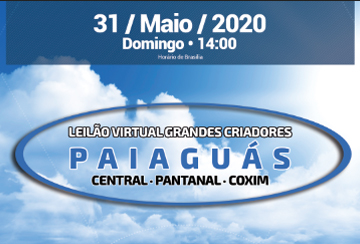 LEILÃO VIRTUAL GRANDES CRIADORES PAIAGUÁS CENTRAL-PANTANAL-COXIM