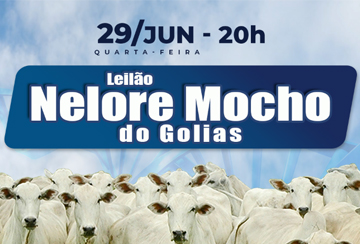 LEILÃO NELORE MOCHO DO GOLIAS