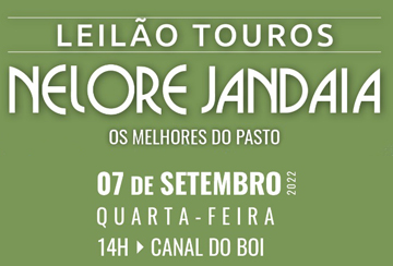 LEILÃO TOUROS NELORE JANDAIA