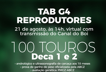 LEILÃO TAB G4 REPRODUTORES