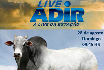 LIVE ADIR