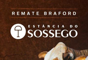 REMATE BRAFORD ESTÂNCIA DO SOSSEGO