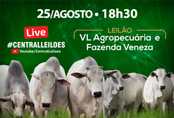 LIVE - APRESENTAÇÃO DOS ANIMAIS DO LEILÃO VL AGROPECUÁRIA E FAZENDA VENEZA