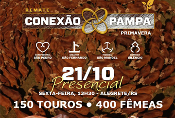 REMATE CONEXÃO PAMPA - PRIMAVERA