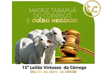 13º LEILÃO VIRTUOSO DA CÓRREGO