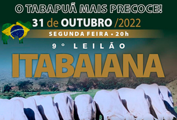 9º LEILÃO ITABAIANA