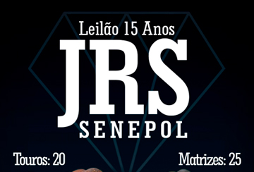 LEILÃO 15 ANOS JRS SENEPOL