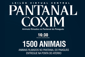 LEILÃO VIRTUAL CENTRAL PANTANAL COXIM