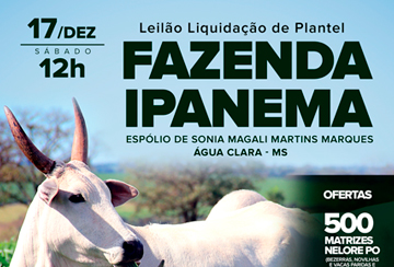 LEILÃO LIQUIDAÇÃO DE PLANTEL FAZENDA IPANEMA