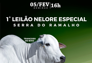 1º LEILÃO NELORE ESPECIAL SERRA DO RAMALHO