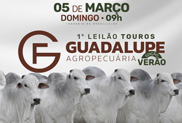 1º LEILÃO TOUROS GUADALUPE AGROPECUÁRIA - EDIÇÃO VERÃO