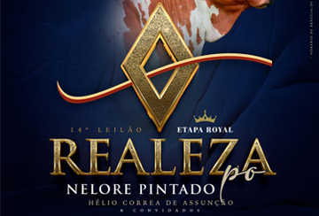 14º LEILÃO REALEZA - NELORE PINTADO PO - ETAPA ROYAL