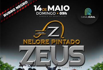 LEILÃO NELORE PINTADO ZEUS & CONVIDADOS