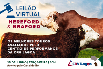 LEILÃO VIRTUAL HEREFORD & BRAFORD CP CRV LAGOA