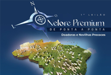 1º LEILÃO NELORE PREMIUM DE PONTA A PONTA