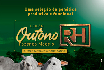 LEILÃO OUTONO FAZENDA MODELO - GUTO GRASSANO & CONVIDADOS