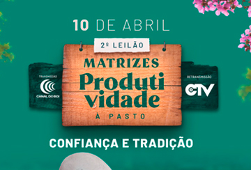 2º LEILÃO MATRIZES PRODUTIVIDADE A PASTO