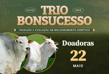 LEILÃO TRIO BONSUCESSO - DOADORAS