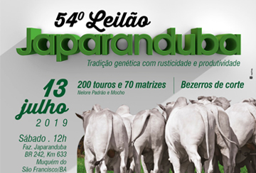 54º LEILÃO JAPARANDUBA