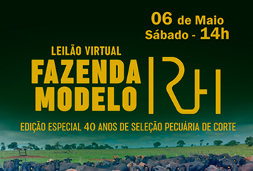 LEILÃO VIRTUAL FAZENDA MODELO - CORTE